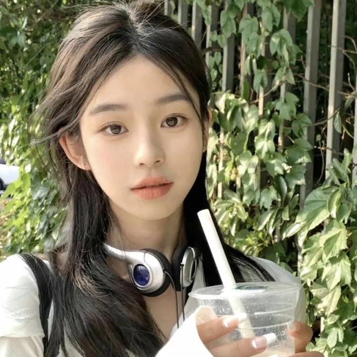 特洛伊：木马屠城记