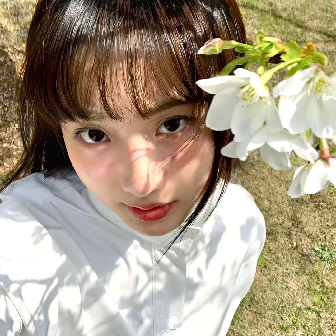 好莱坞巨猿
